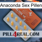 Anaconda Sex Pills 43